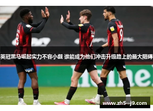 英冠黑马崛起实力不容小觑 谁能成为他们冲击升级路上的最大阻碍